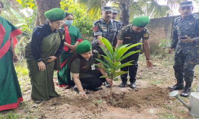 জয়পুরহাটে আনসার ও ভিডিপি ক্লাব সমিতিতে বৃক্ষরোপণ