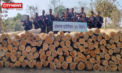 রাঙ্গামাটির লংগদুতে বিজিবির অভিযানে অবৈধ সেগুন কাঠ জব্দ