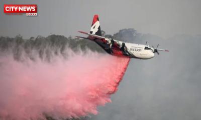 অস্ট্রেলিয়ায় বিমান বিধ্বস্ত হয়ে নিহত ৩