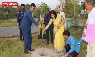 নলডাঙ্গায় বিভিন্ন দপ্তর পরিদর্শন করললেন- ডিসি আসমা শাহীন