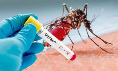 One die of dengue in Dhaka