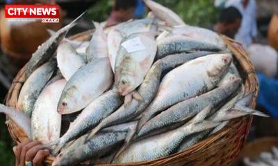 পূজায় ইলিশ পাঠাতে বাংলাদেশের কাছে ভারতের চিঠি