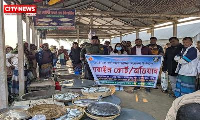 ফরিদপুরে ২ মণ জাটকা ইলিশ জব্দ : ব্যবসায়ীকে জরিমানা