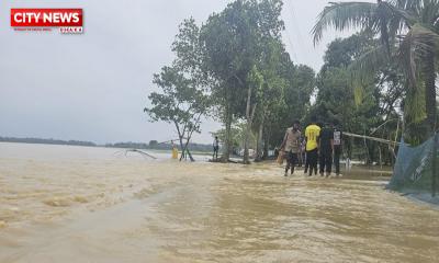 ময়মনসিংহে বন্যায় কৃষিতে ক্ষতি সাড়ে ৩ শ কোটি টাকা, নিঃস্ব অনেক মৎস্য খামারি