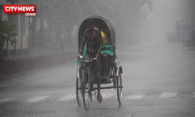 A Shower of Rain in the Capital on a Spring Noon