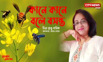 কানে কানে বলে বসন্ত